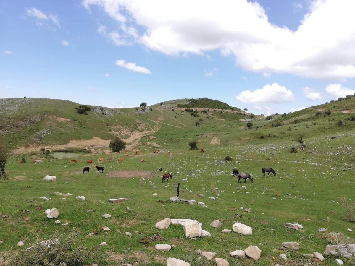 Olympus Country House Karia  ภายนอก รูปภาพ
