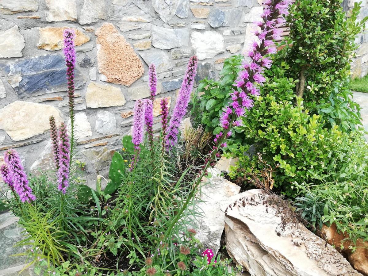 Olympus Country House Karia  ภายนอก รูปภาพ